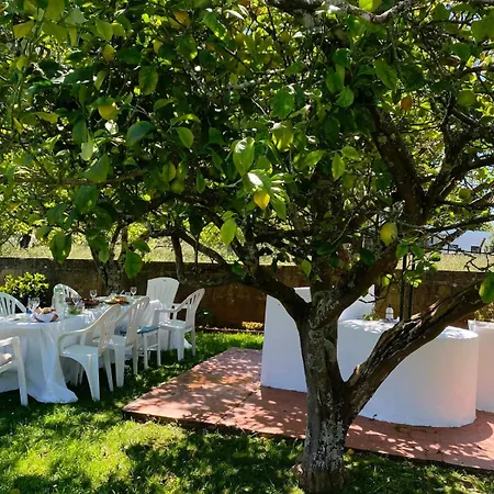 Casa Lupe, Retiro Rural Cerca De 펜션 *