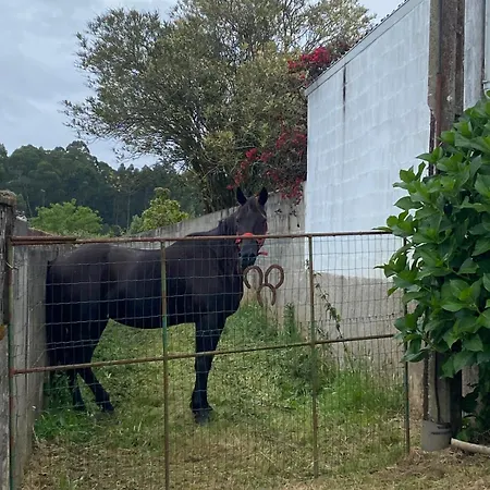펜션 Casa Lupe, Retiro Rural Cerca De