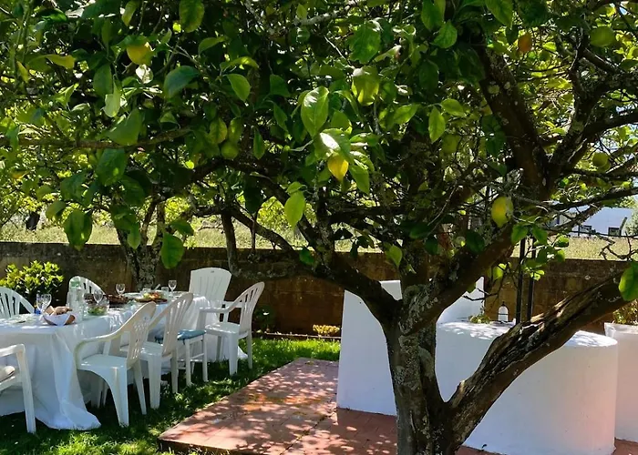 Casa Lupe, Retiro Rural Cerca De 別荘 *