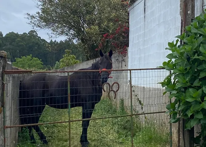 別荘 Casa Lupe, Retiro Rural Cerca De