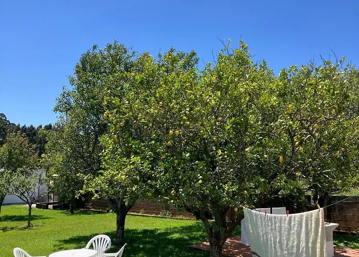 بيت للعطل Casa Lupe, Retiro Rural Cerca De *